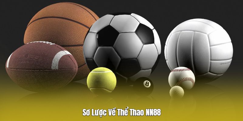 Giới thiệu sảnh cược thể thao Nn88 Giới thiệu sảnh cược thể thao Nn88