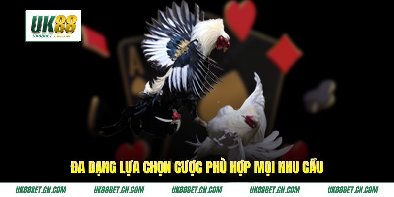 Đa dạng lựa chọn cược phù hợp mọi nhu cầu