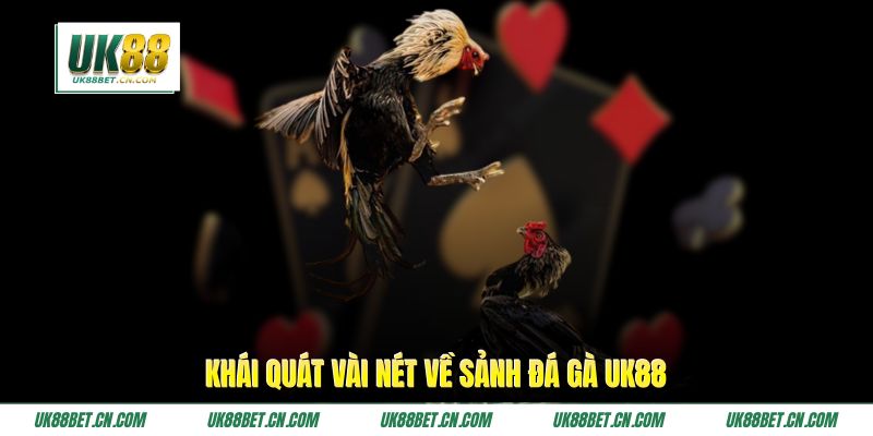 Khái quát vài nét về sảnh đá gà UK88